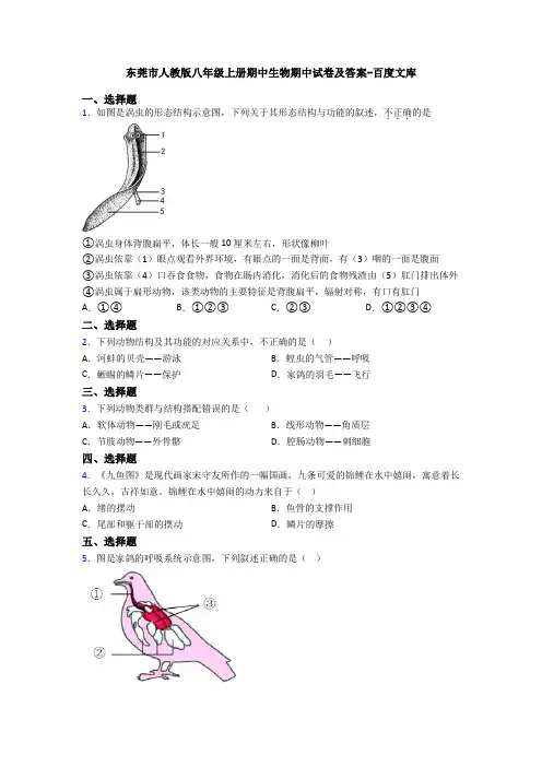 东莞市人教版八年级上册期中生物期中试卷及答案-百度文库
