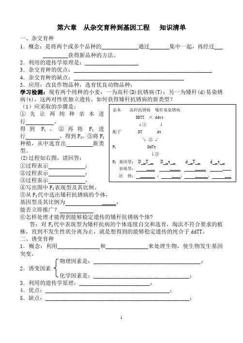 从杂交育种到基因工程 知识清单