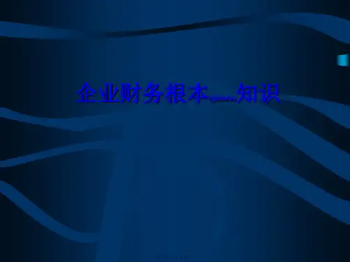 企业财务基本知识(ppt版)