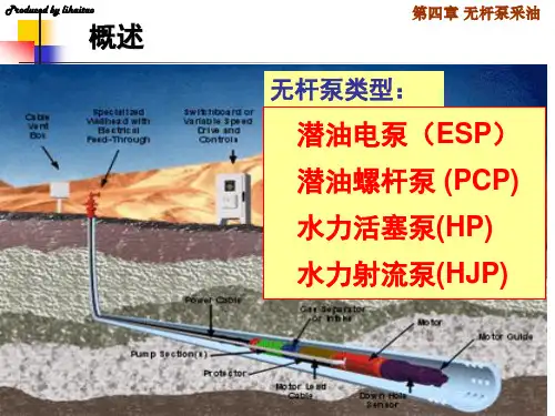 概述潜油电泵ESP
