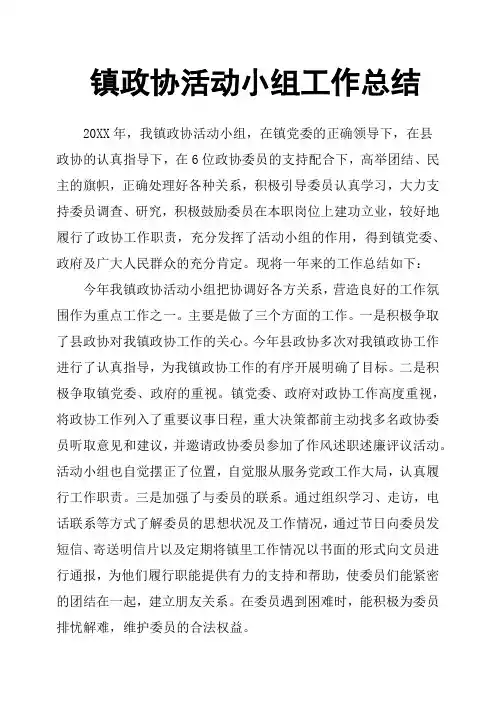 镇政协活动小组工作总结