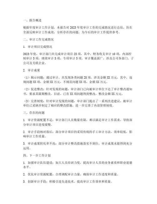 审计计划完成情况报告