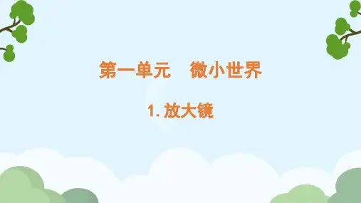 《放大镜》小学六年级上册科学PPT课件