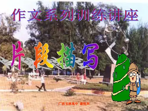 初中作文系列训练讲座片段描写优秀课件