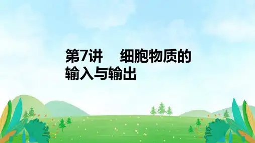 【高中生物】细胞物质的输入与输出+高考生物一轮复习精讲课件+新教材