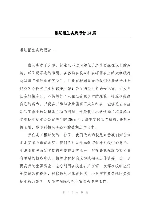 暑期招生实践报告14篇
