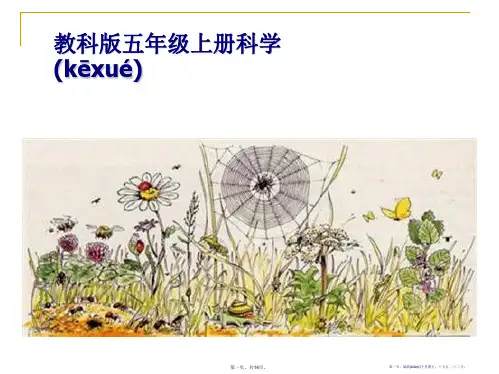 《做一个生态瓶》生物与环境PPT课件4