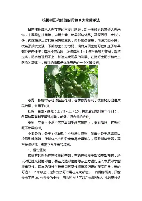 核桃树正确修剪时间和9大修剪手法
