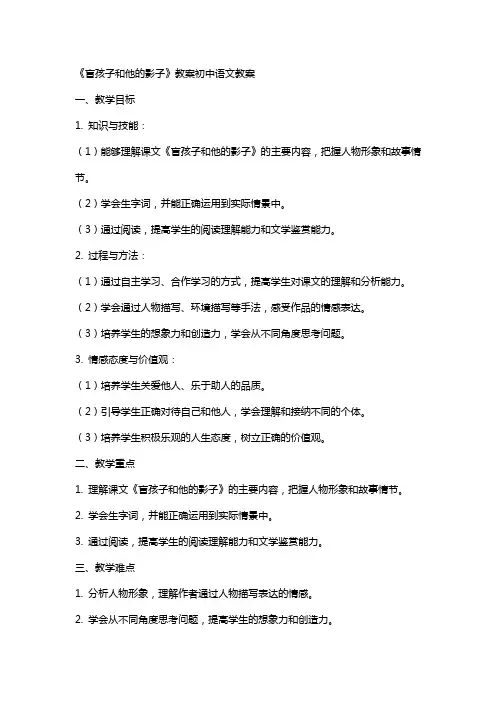 《盲孩子和他的影子》教案初中语文教案