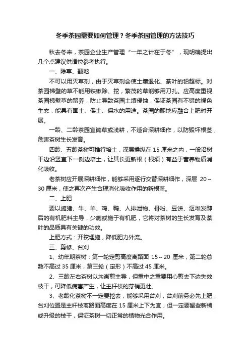 冬季茶园需要如何管理？冬季茶园管理的方法技巧