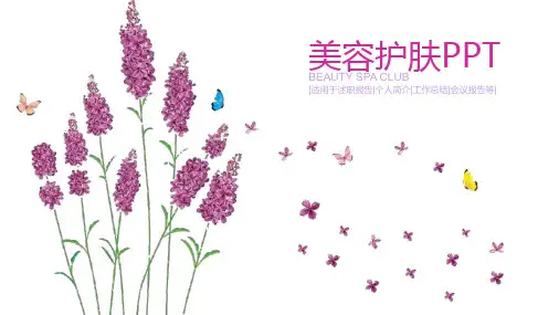 清雅美容护肤化妆品介绍推广PPT模板