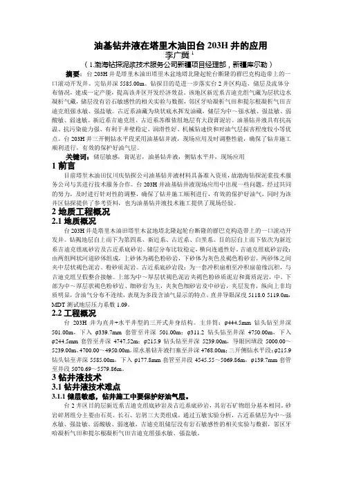 油基钻井液在塔里木油田台203H井的应用