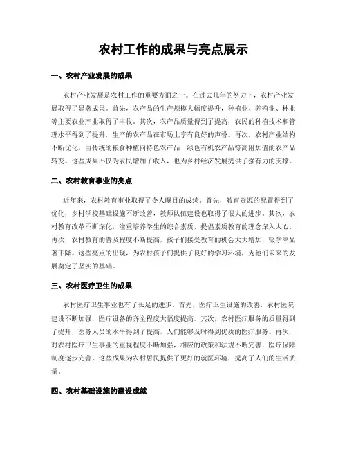 农村工作的成果与亮点展示
