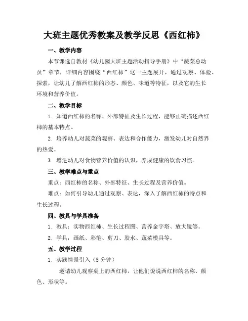大班主题优秀教案及教学反思《西红柿》