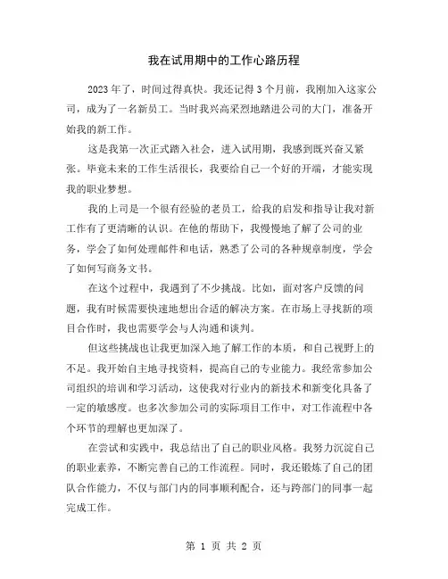 我在试用期中的工作心路历程