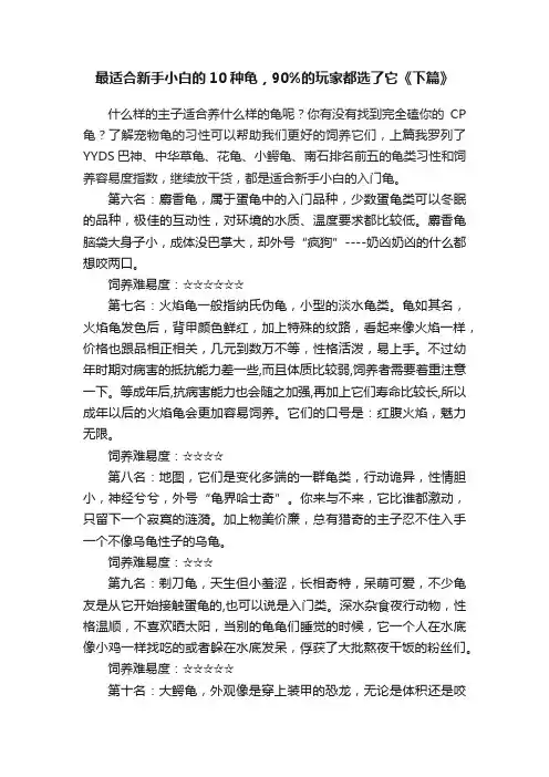 最适合新手小白的10种龟，90%的玩家都选了它《下篇》