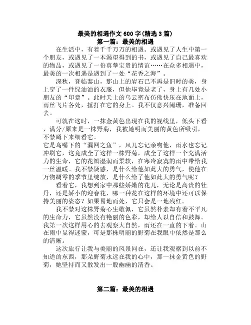 中小学《最美的相遇》作文600字(精选3篇)