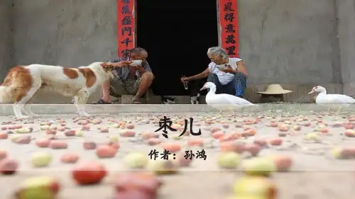《枣儿》PPT精品课件下载设计
