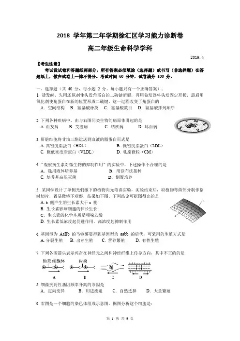 上海市徐汇区2018-2019学年第二学期高中(二模)等级考调研测试生命科学试卷含答案