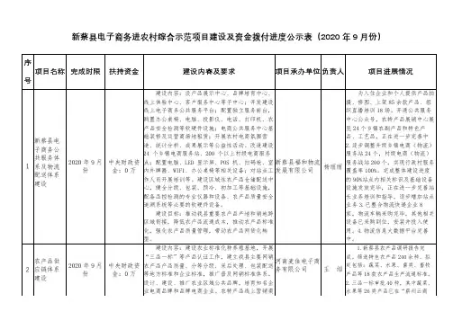 新蔡县电子商务进农村综合示范项目建设及资金拨付进度公示表【模板】