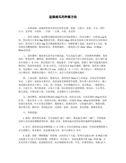 盆栽南瓜的种植方法