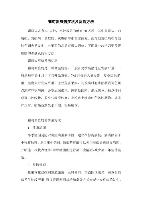 葡萄炭疽病症状及防治方法