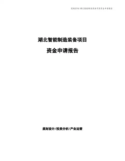 湖北智能制造装备项目资金申请报告