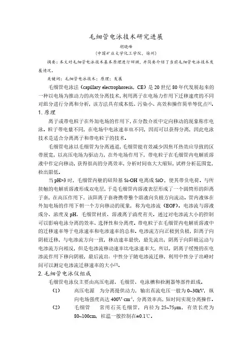 毛细管电泳法研究进展