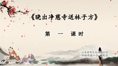 《晓初净慈寺送林子方》课件PPT