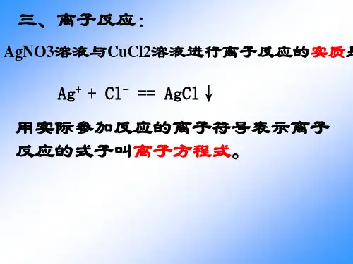高一化学离子反应4(PPT)2-1