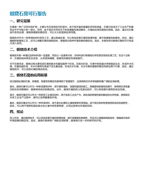 锻烧石膏可行报告