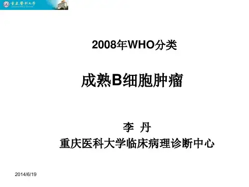 2008-恶性淋巴瘤-DLBCL- 病理学课件