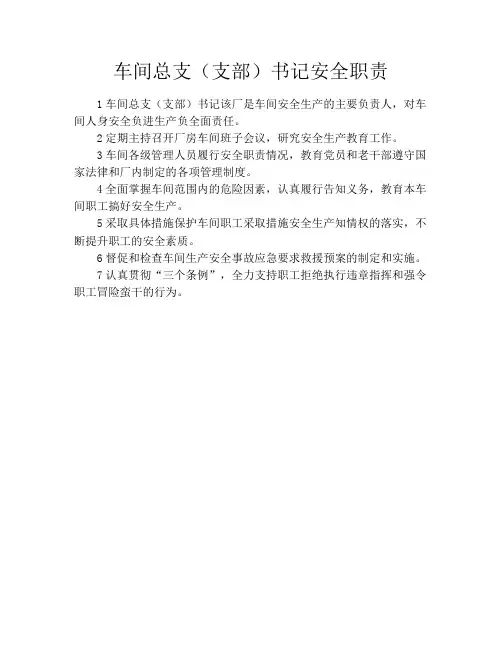 车间总支(支部)书记安全职责