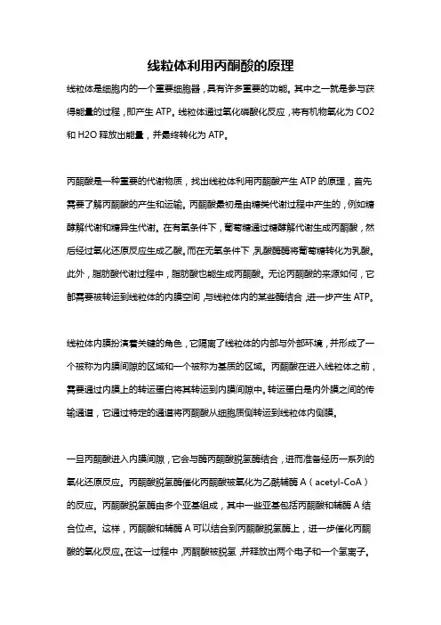 线粒体利用丙酮酸的原理