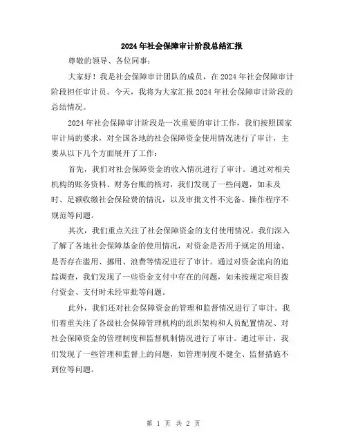 2024年社会保障审计阶段总结汇报