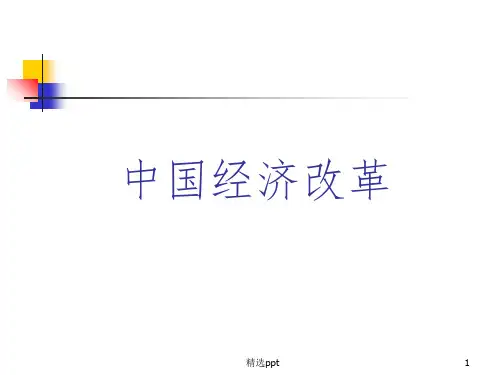 《中国经济改革》PPT课件