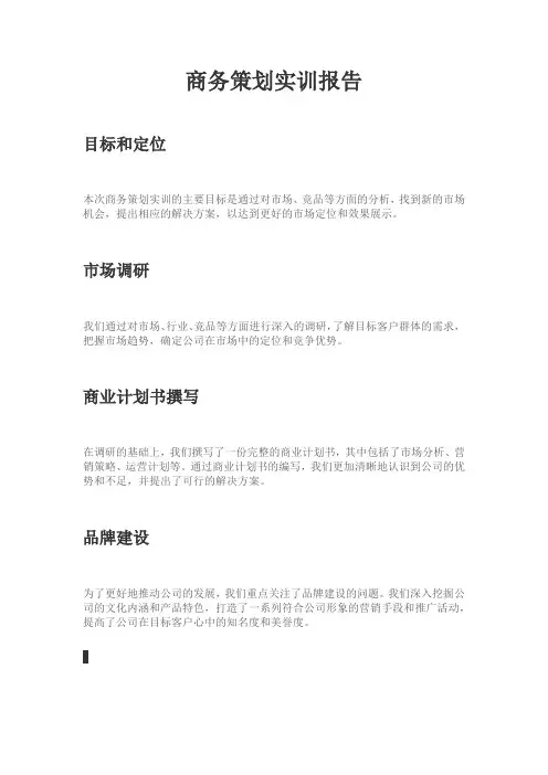 商务策划实训报告