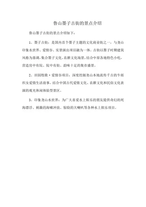 鲁山墨子古街的景点介绍