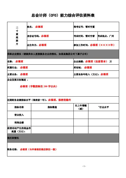 cfo能力综合评估表格提示版