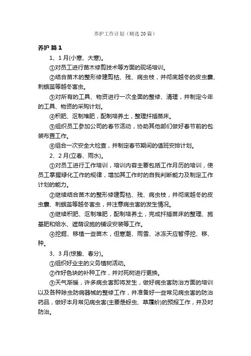 养护工作计划（精选20篇）
