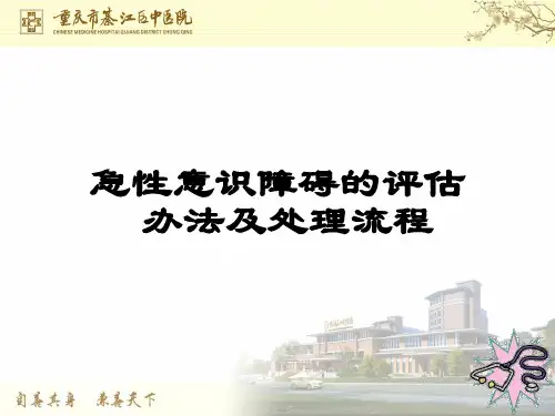 意识障碍的评估办法及处理流程