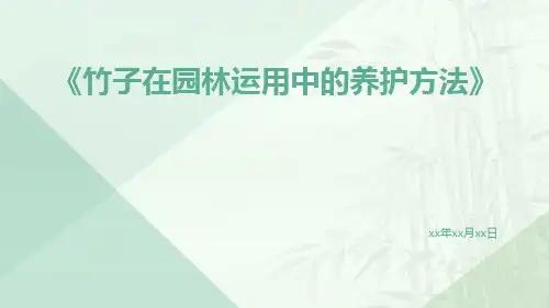 竹子在园林运用中的养护方法