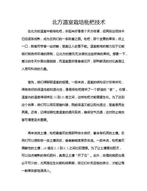 北方温室栽培枇杷技术