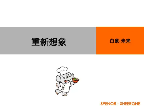 白象品牌发展战略