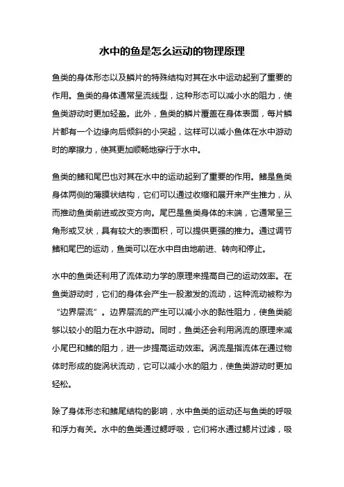水中的鱼是怎么运动的物理原理