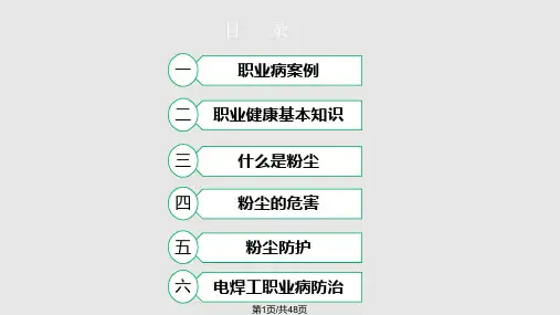 粉尘的危害及防护PPT课件