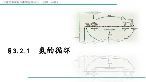 高中化学《氮的循环》PPT精美课件鲁科版1