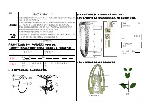 1唐爱华优质课 绿色开花植物的一生学案