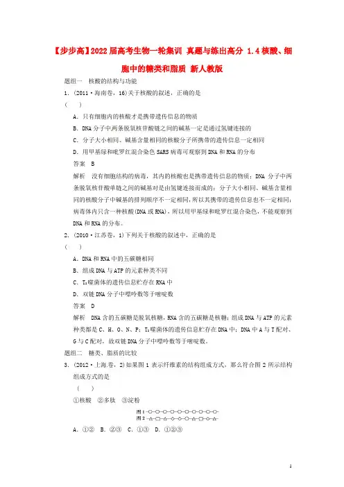 【步步高】2022届高考生物一轮集训 真题与练出高分 1.4核酸、细胞中的糖类和脂质 新人教版