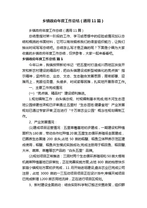 乡镇政府年度工作总结（通用11篇）